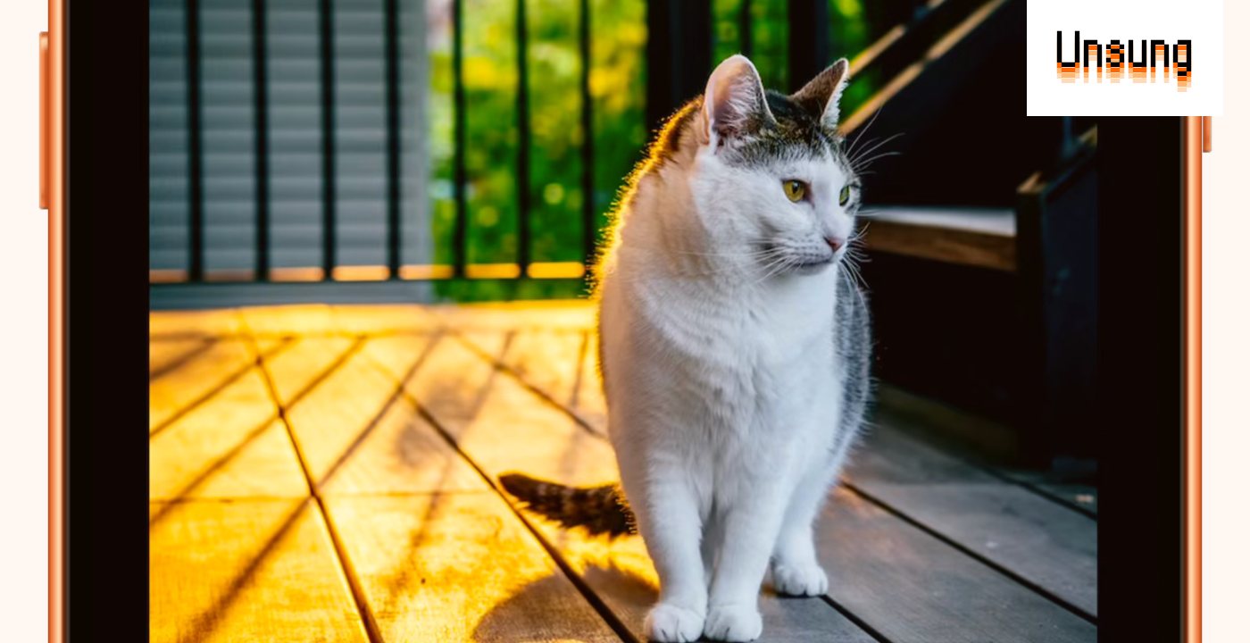 User interface sugar crash